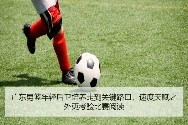 img_1782461449190_993_2_402.jpg